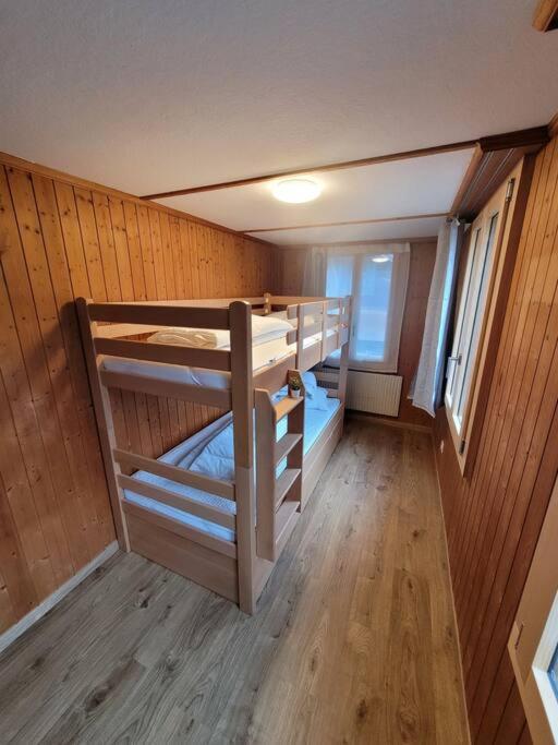 Staubbach View - Traditional Apartment